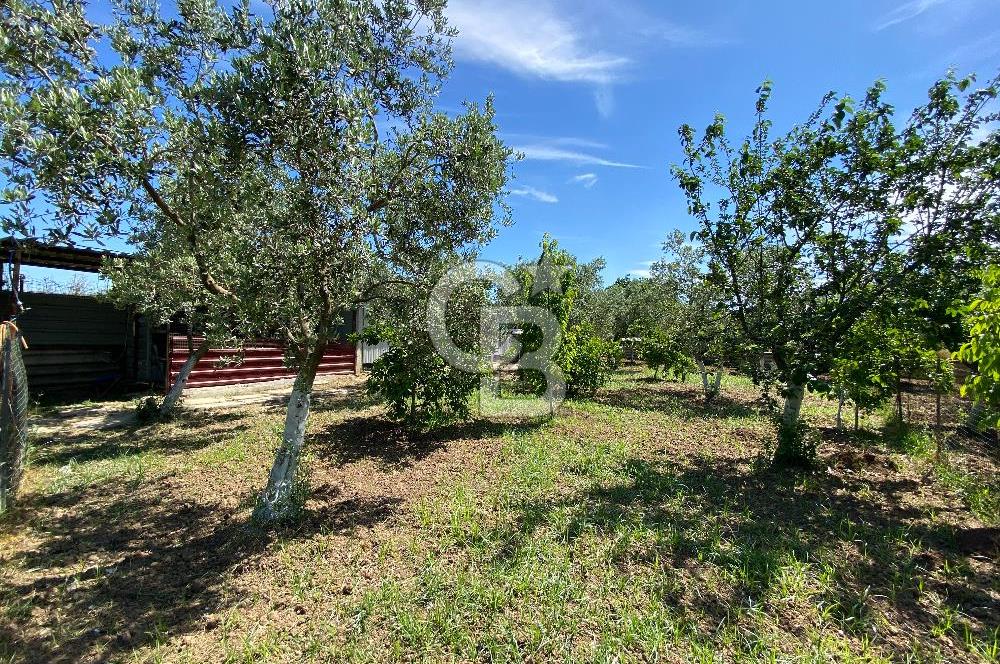 İzmir Menderes'de 5+2 Satılık Müştemilatlı Müstakil Dubleks Ev