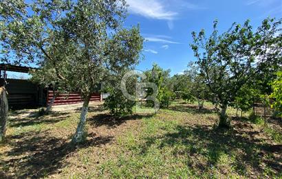 İzmir Menderes'de 5+2 Satılık Müştemilatlı Müstakil Dubleks Ev