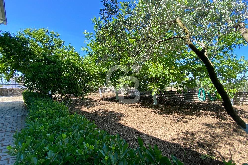 İzmir Menderes'de 5+2 Satılık Müştemilatlı Müstakil Dubleks Ev