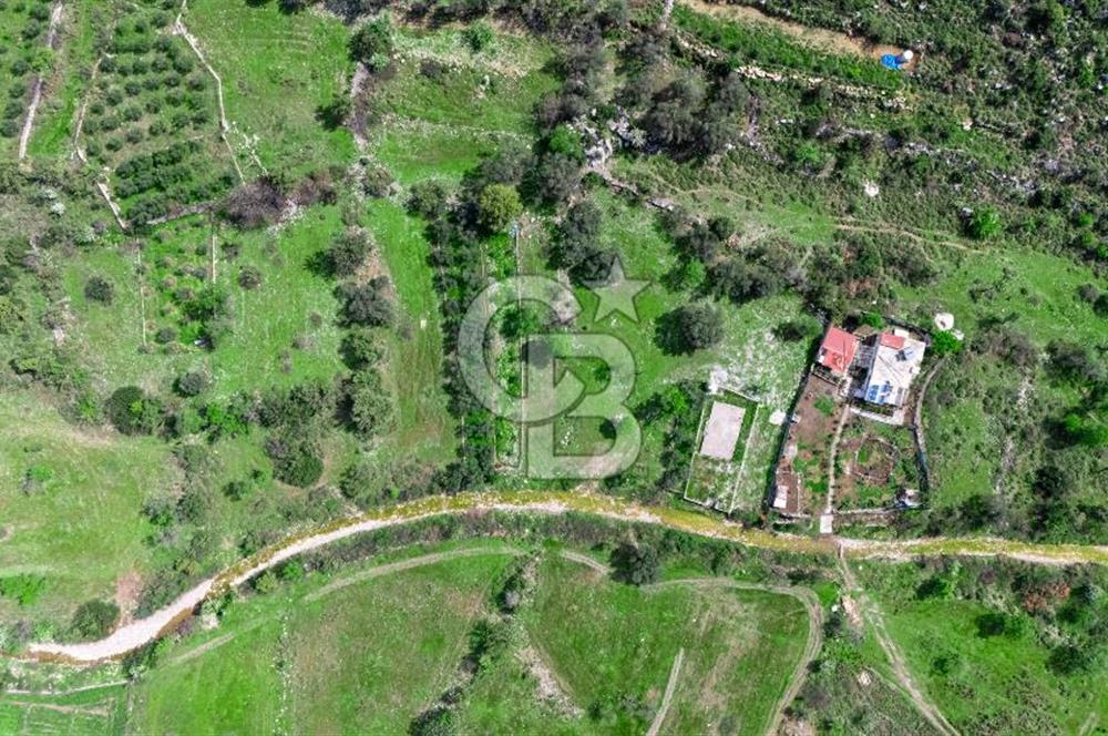 MARMARİS BOZBURUN'DA 599 M2 SATILIK TARLA