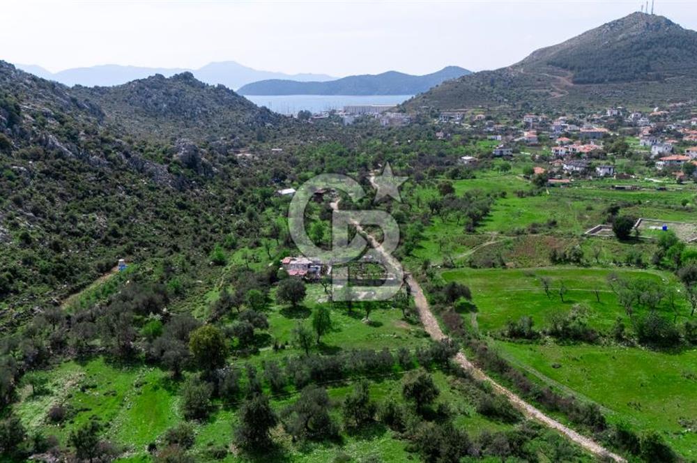 MARMARİS BOZBURUN'DA 599 M2 SATILIK TARLA