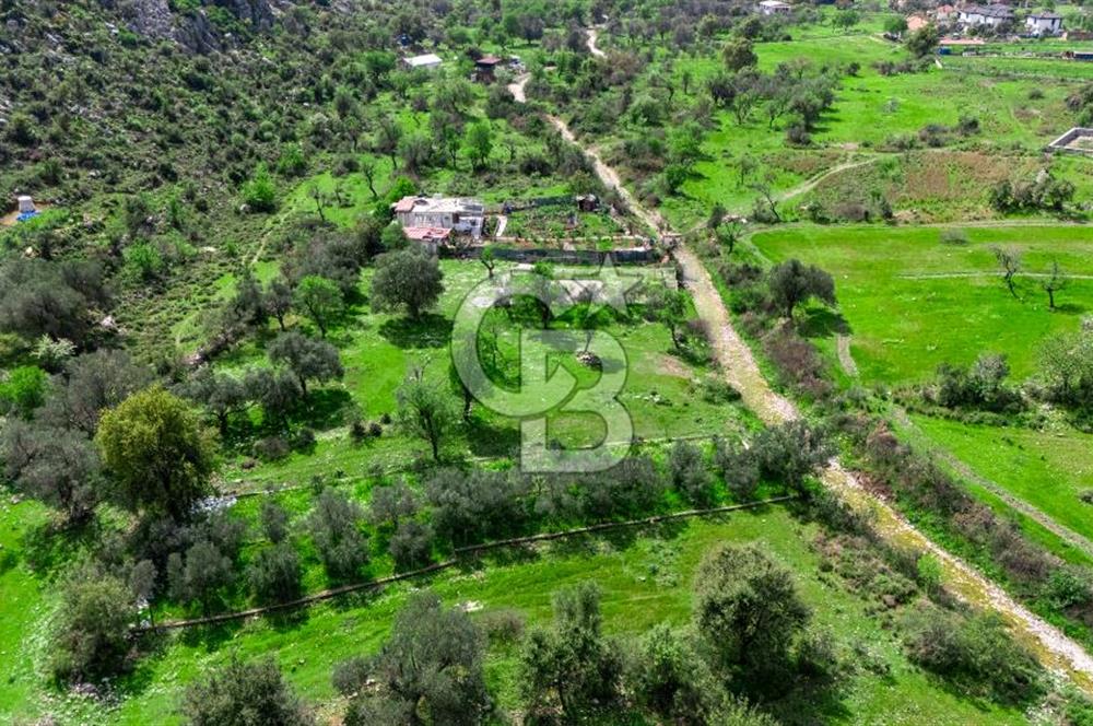 MARMARİS BOZBURUN'DA 599 M2 SATILIK TARLA