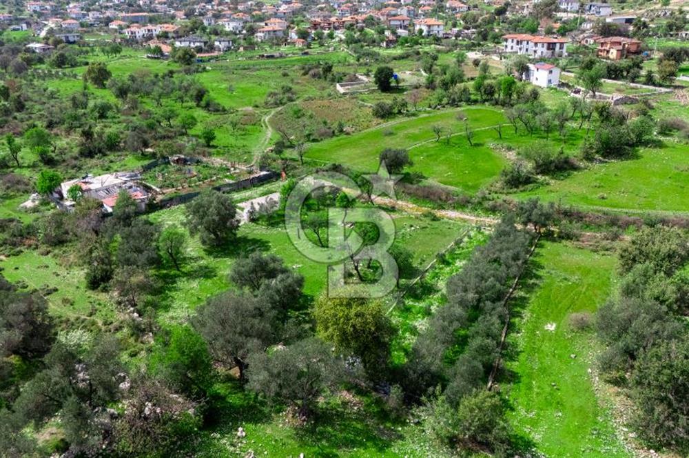 MARMARİS BOZBURUN'DA 599 M2 SATILIK TARLA