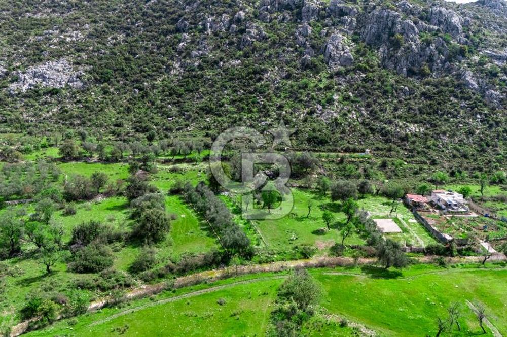 MARMARİS BOZBURUN'DA 599 M2 SATILIK TARLA