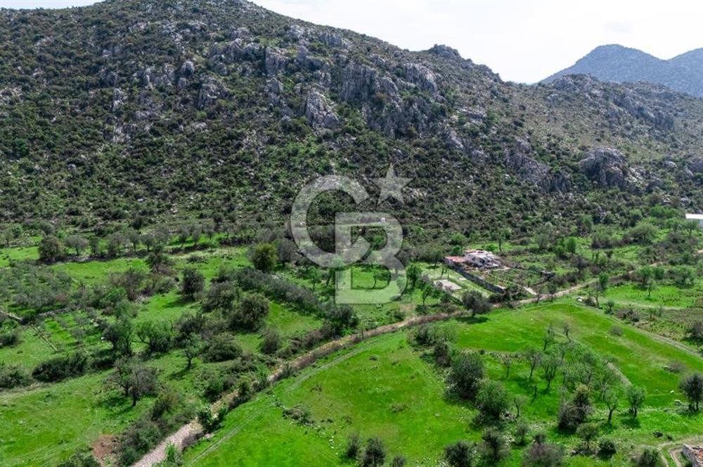 MARMARİS BOZBURUN'DA 599 M2 SATILIK TARLA