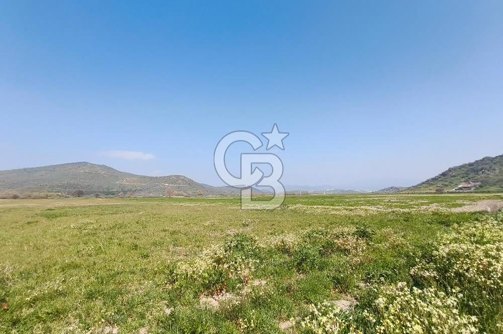 COLDWELL BANKER POYRAZ'DAN FIRSAT FİYATINA SATILIK ARAZİ