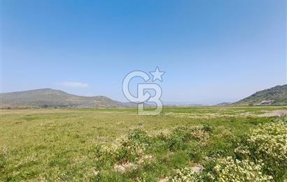 COLDWELL BANKER POYRAZ'DAN FIRSAT FİYATINA SATILIK ARAZİ