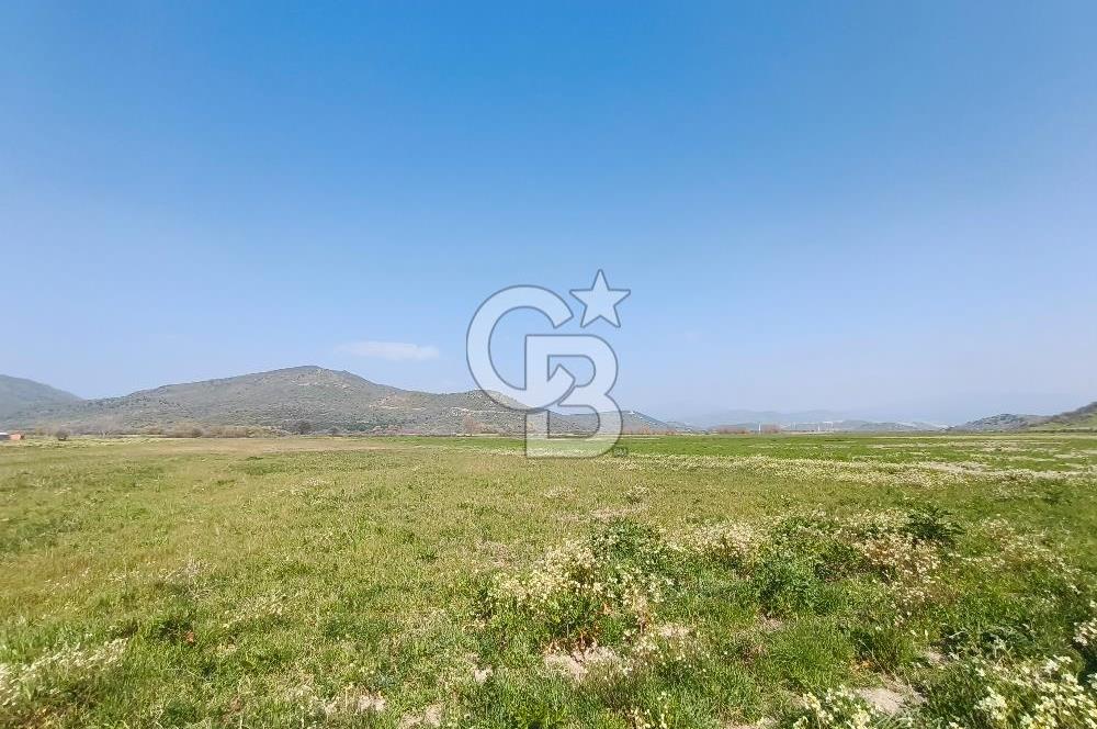 COLDWELL BANKER POYRAZ'DAN FIRSAT FİYATINA SATILIK ARAZİ