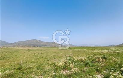 COLDWELL BANKER POYRAZ'DAN FIRSAT FİYATINA SATILIK ARAZİ