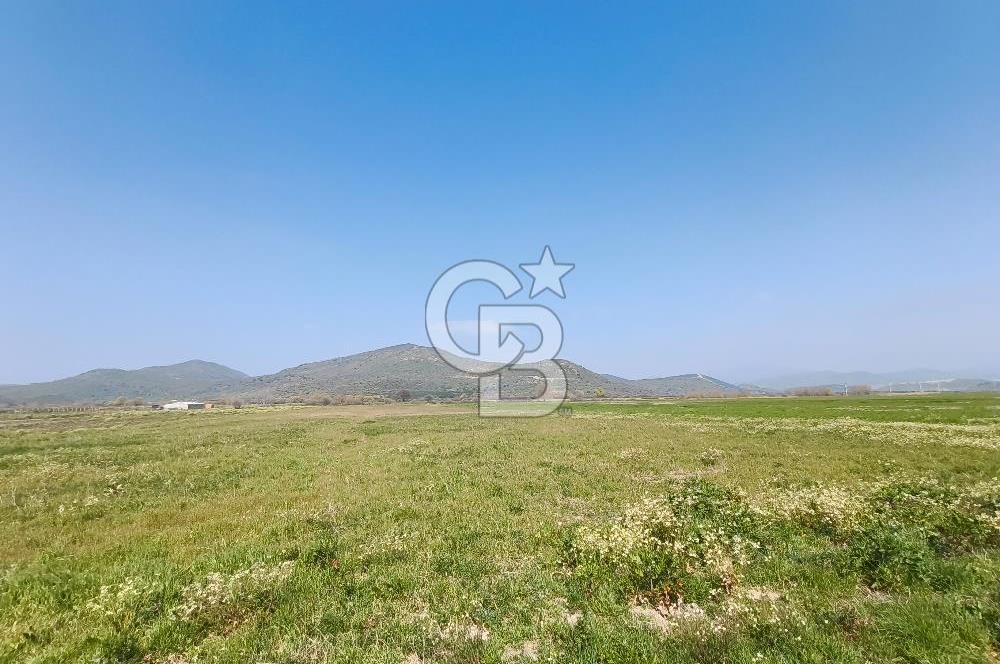 COLDWELL BANKER POYRAZ'DAN FIRSAT FİYATINA SATILIK ARAZİ