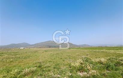 COLDWELL BANKER POYRAZ'DAN FIRSAT FİYATINA SATILIK ARAZİ