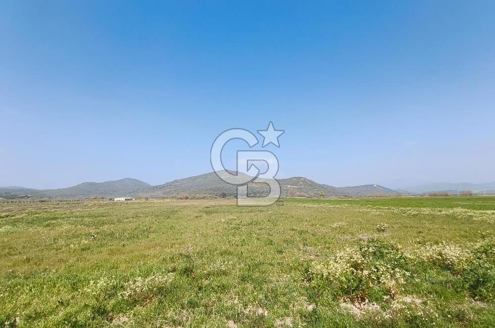 COLDWELL BANKER POYRAZ'DAN FIRSAT FİYATINA SATILIK ARAZİ