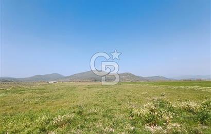 COLDWELL BANKER POYRAZ'DAN FIRSAT FİYATINA SATILIK ARAZİ