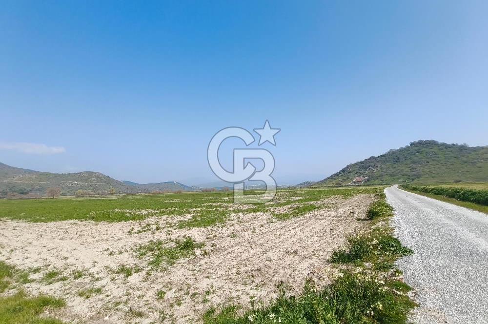 COLDWELL BANKER POYRAZ'DAN FIRSAT FİYATINA SATILIK ARAZİ