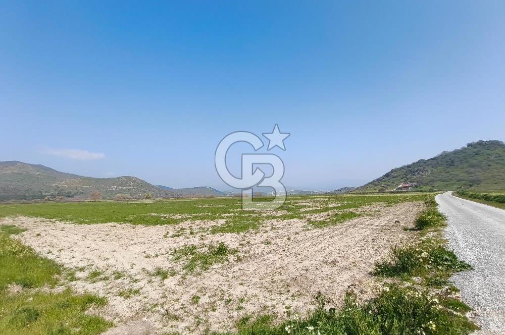 COLDWELL BANKER POYRAZ'DAN FIRSAT FİYATINA SATILIK ARAZİ