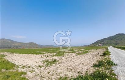 COLDWELL BANKER POYRAZ'DAN FIRSAT FİYATINA SATILIK ARAZİ