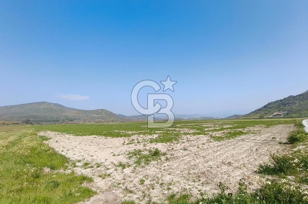 COLDWELL BANKER POYRAZ'DAN FIRSAT FİYATINA SATILIK ARAZİ