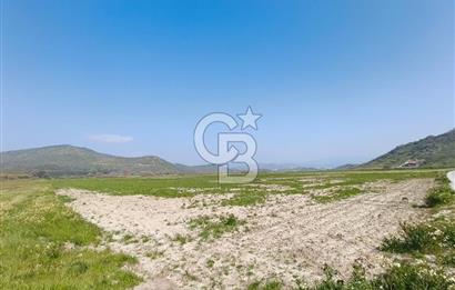 COLDWELL BANKER POYRAZ'DAN FIRSAT FİYATINA SATILIK ARAZİ