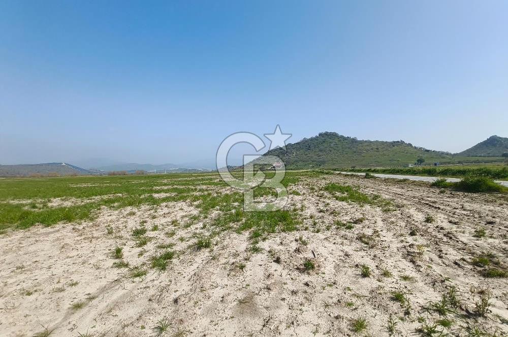 COLDWELL BANKER POYRAZ'DAN FIRSAT FİYATINA SATILIK ARAZİ