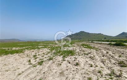 COLDWELL BANKER POYRAZ'DAN FIRSAT FİYATINA SATILIK ARAZİ