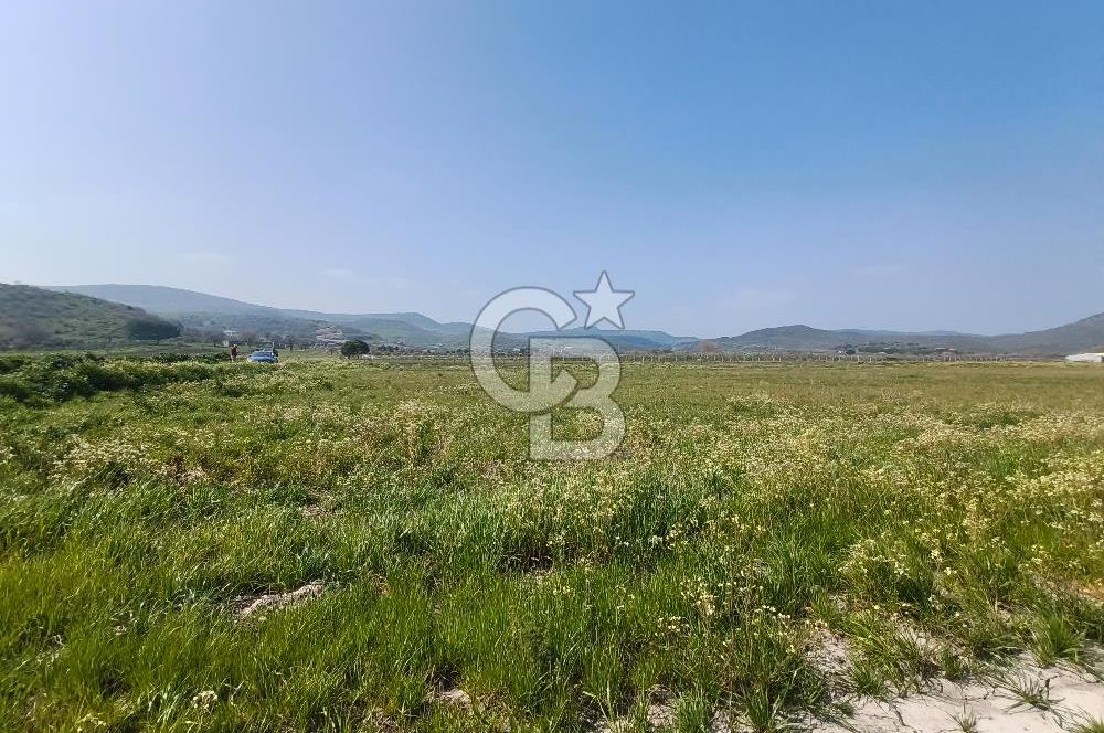 COLDWELL BANKER POYRAZ'DAN FIRSAT FİYATINA SATILIK ARAZİ