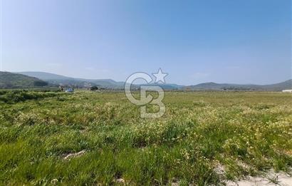 COLDWELL BANKER POYRAZ'DAN FIRSAT FİYATINA SATILIK ARAZİ