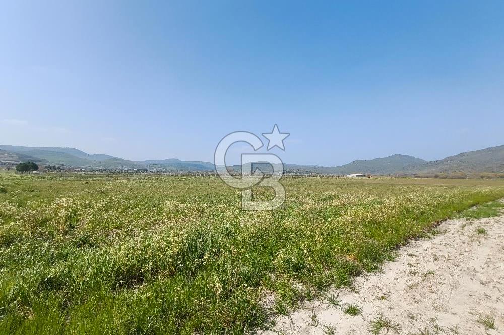 COLDWELL BANKER POYRAZ'DAN FIRSAT FİYATINA SATILIK ARAZİ