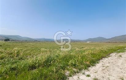 COLDWELL BANKER POYRAZ'DAN FIRSAT FİYATINA SATILIK ARAZİ