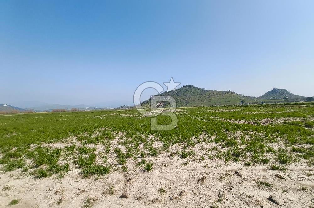 COLDWELL BANKER POYRAZ'DAN FIRSAT FİYATINA SATILIK ARAZİ