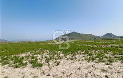 COLDWELL BANKER POYRAZ'DAN FIRSAT FİYATINA SATILIK ARAZİ