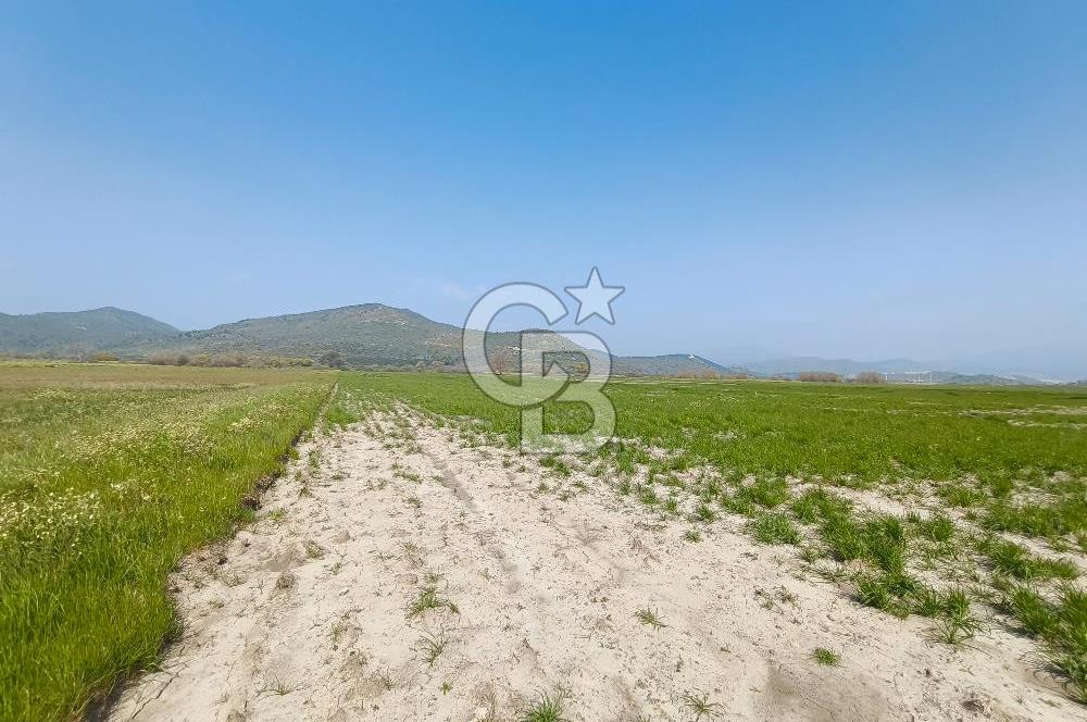 COLDWELL BANKER POYRAZ'DAN FIRSAT FİYATINA SATILIK ARAZİ