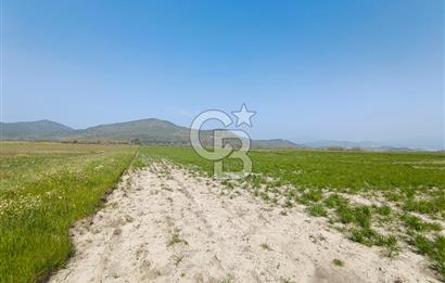 COLDWELL BANKER POYRAZ'DAN FIRSAT FİYATINA SATILIK ARAZİ