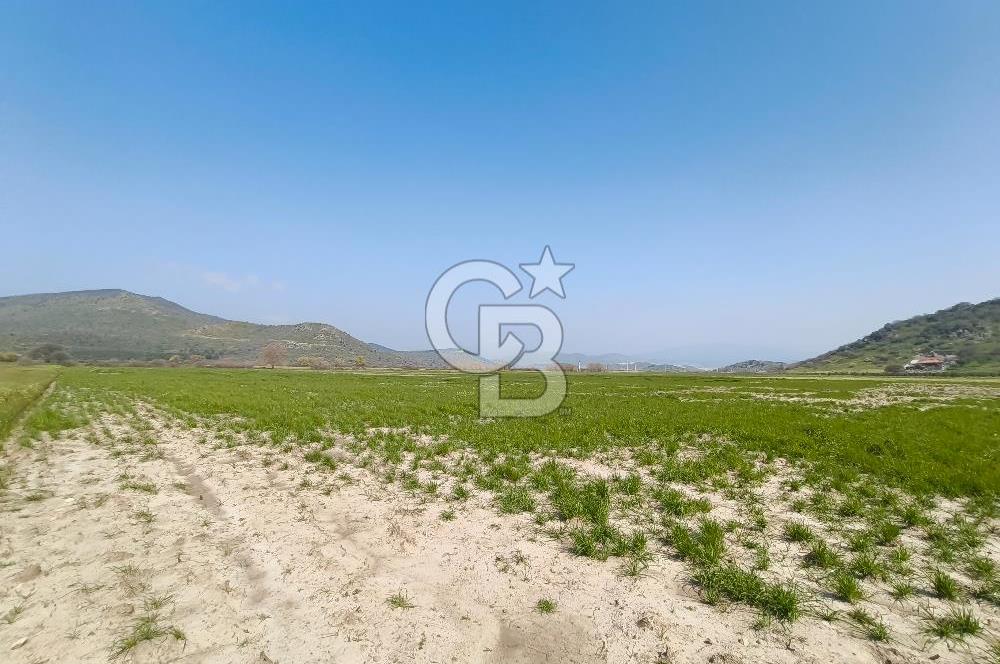 COLDWELL BANKER POYRAZ'DAN FIRSAT FİYATINA SATILIK ARAZİ