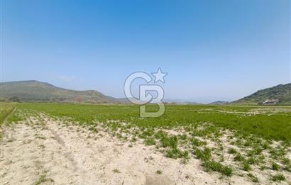 COLDWELL BANKER POYRAZ'DAN FIRSAT FİYATINA SATILIK ARAZİ