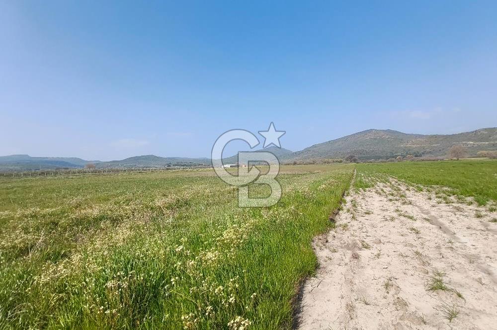 COLDWELL BANKER POYRAZ'DAN FIRSAT FİYATINA SATILIK ARAZİ