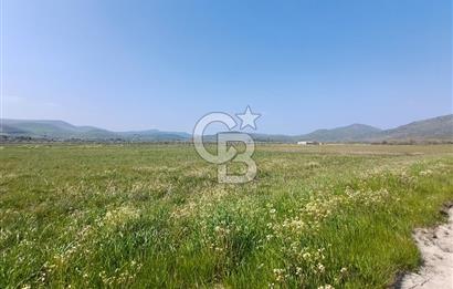 COLDWELL BANKER POYRAZ'DAN FIRSAT FİYATINA SATILIK ARAZİ