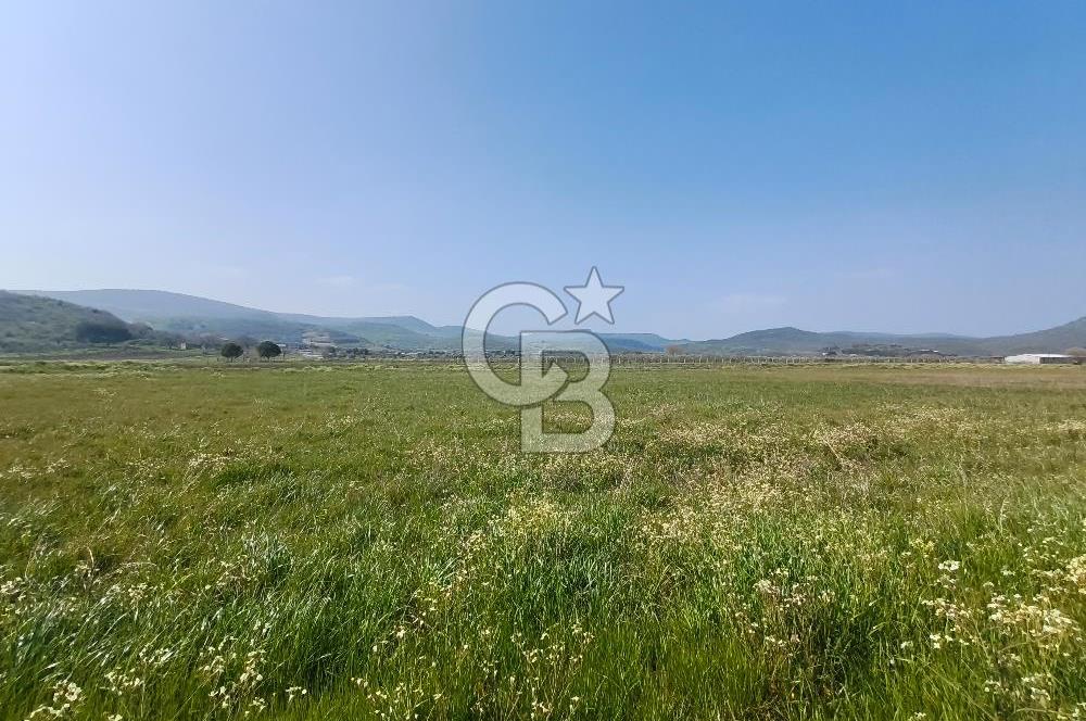 COLDWELL BANKER POYRAZ'DAN FIRSAT FİYATINA SATILIK ARAZİ