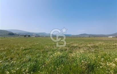 COLDWELL BANKER POYRAZ'DAN FIRSAT FİYATINA SATILIK ARAZİ