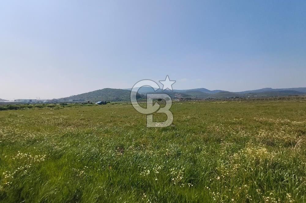 COLDWELL BANKER POYRAZ'DAN FIRSAT FİYATINA SATILIK ARAZİ