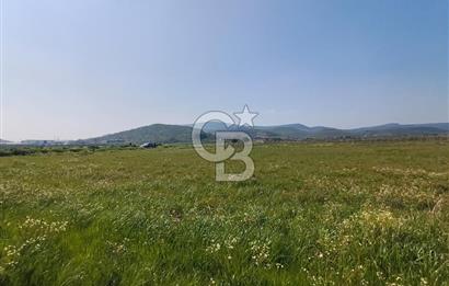 COLDWELL BANKER POYRAZ'DAN FIRSAT FİYATINA SATILIK ARAZİ