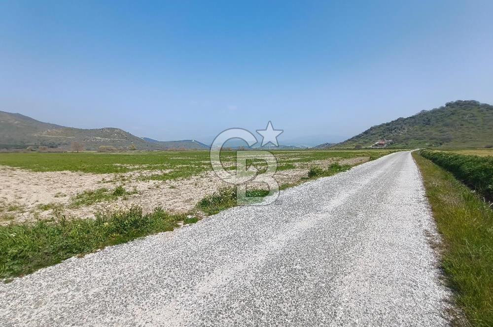 COLDWELL BANKER POYRAZ'DAN FIRSAT FİYATINA SATILIK ARAZİ