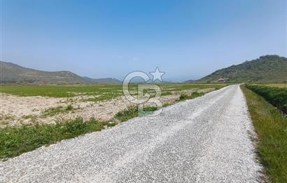 COLDWELL BANKER POYRAZ'DAN FIRSAT FİYATINA SATILIK ARAZİ