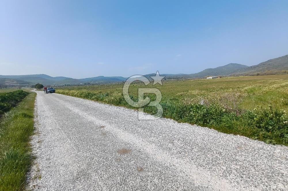 COLDWELL BANKER POYRAZ'DAN FIRSAT FİYATINA SATILIK ARAZİ