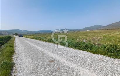 COLDWELL BANKER POYRAZ'DAN FIRSAT FİYATINA SATILIK ARAZİ