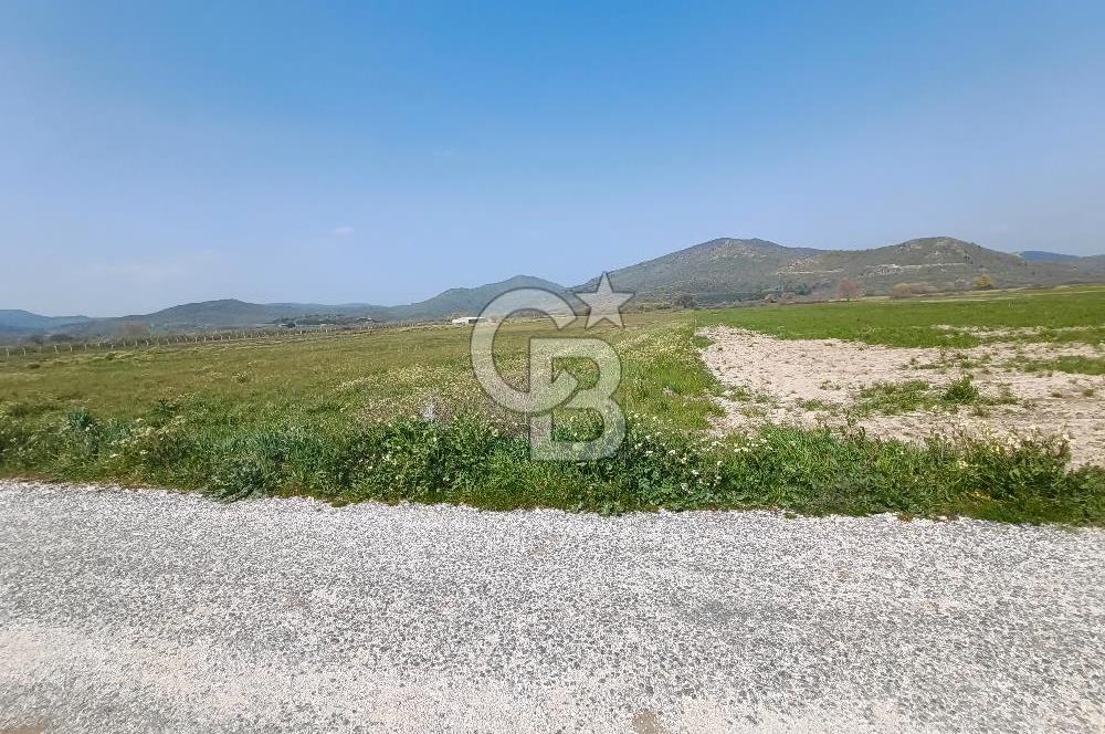 COLDWELL BANKER POYRAZ'DAN FIRSAT FİYATINA SATILIK ARAZİ