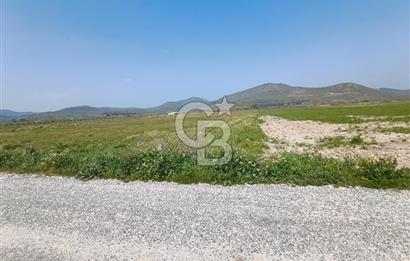 COLDWELL BANKER POYRAZ'DAN FIRSAT FİYATINA SATILIK ARAZİ