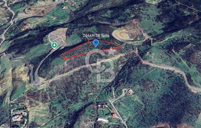 Yatırım fırsatı! Panoramik Körfez Manzaralı 18 Dönem Tarla