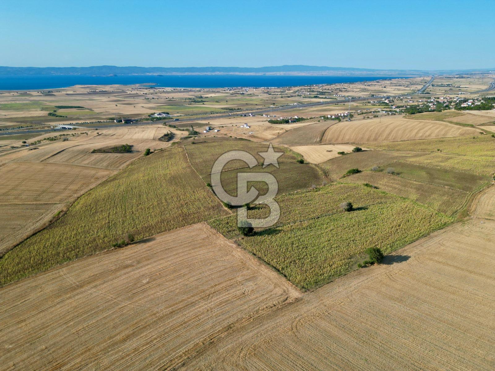 GELİBOLU BOLAYIR 9245 M2 SATILIK YATIRIMLIK HESAPLI TARLA