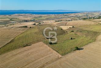 GELİBOLU BOLAYIR 9245 M2 SATILIK YATIRIMLIK HESAPLI TARLA - 1 - 339822