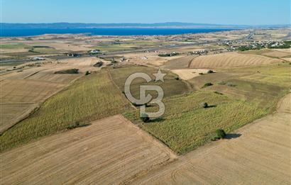 GELİBOLU BOLAYIR 9245 M2 SATILIK YATIRIMLIK HESAPLI TARLA